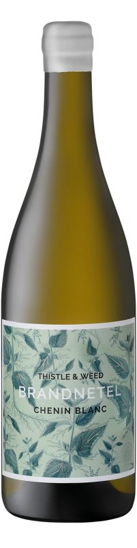 Thistle & Weed Brandnetel